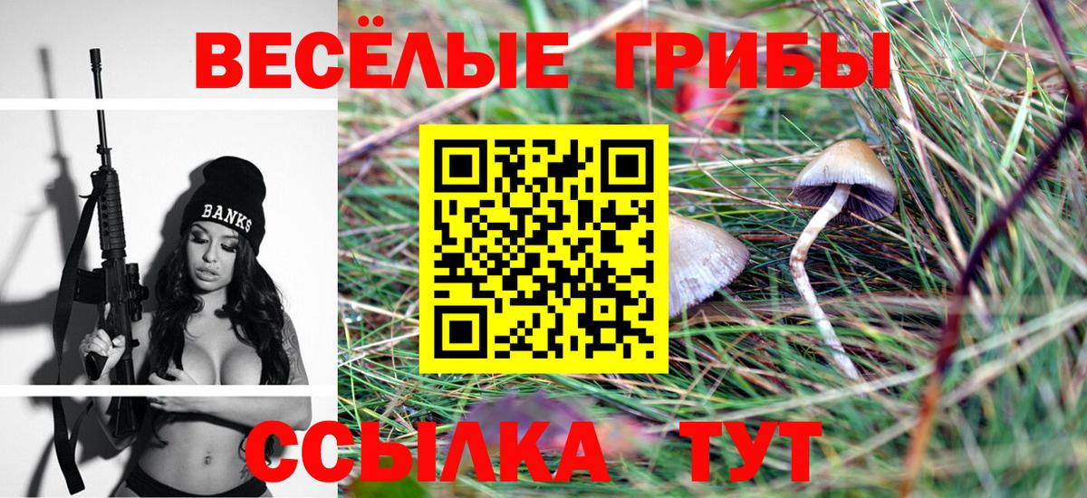 Грязи  Псилоцибиновые грибы GOLDEN TEACHER  где найти   Вход с VPN 