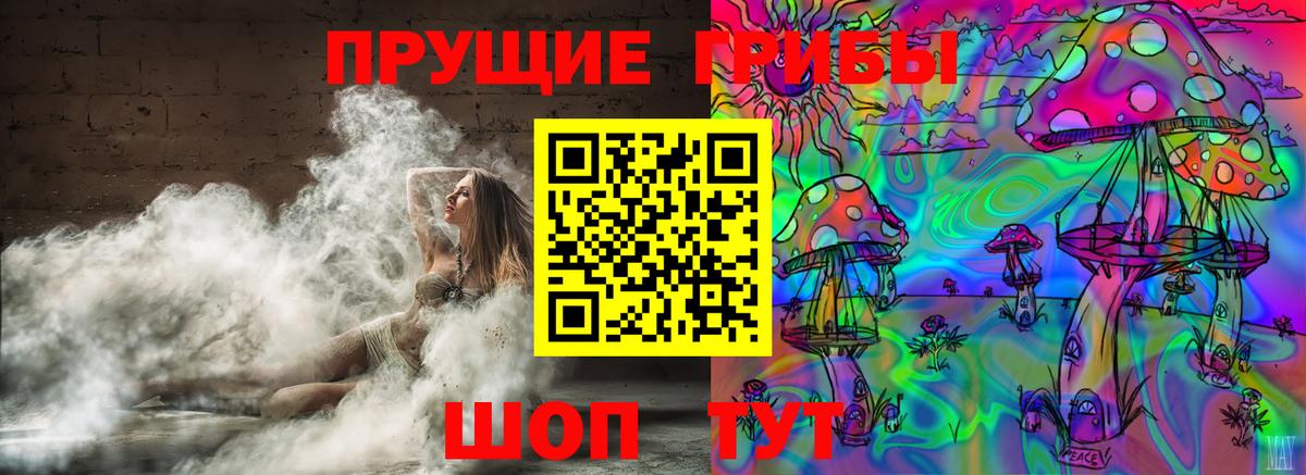 Псилоцибиновые грибы GOLDEN TEACHER Грязи